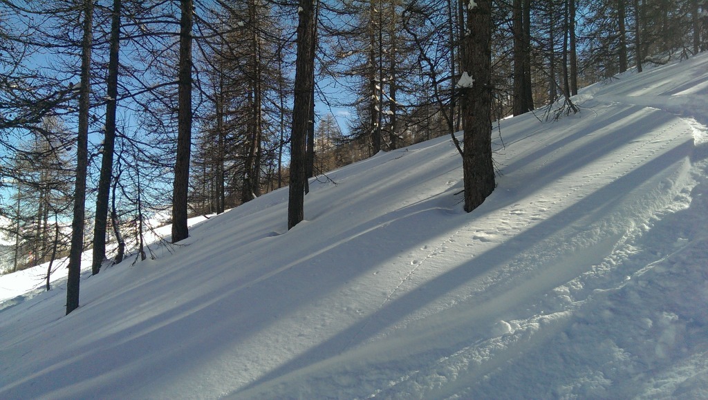 163607-imag0772.jpg