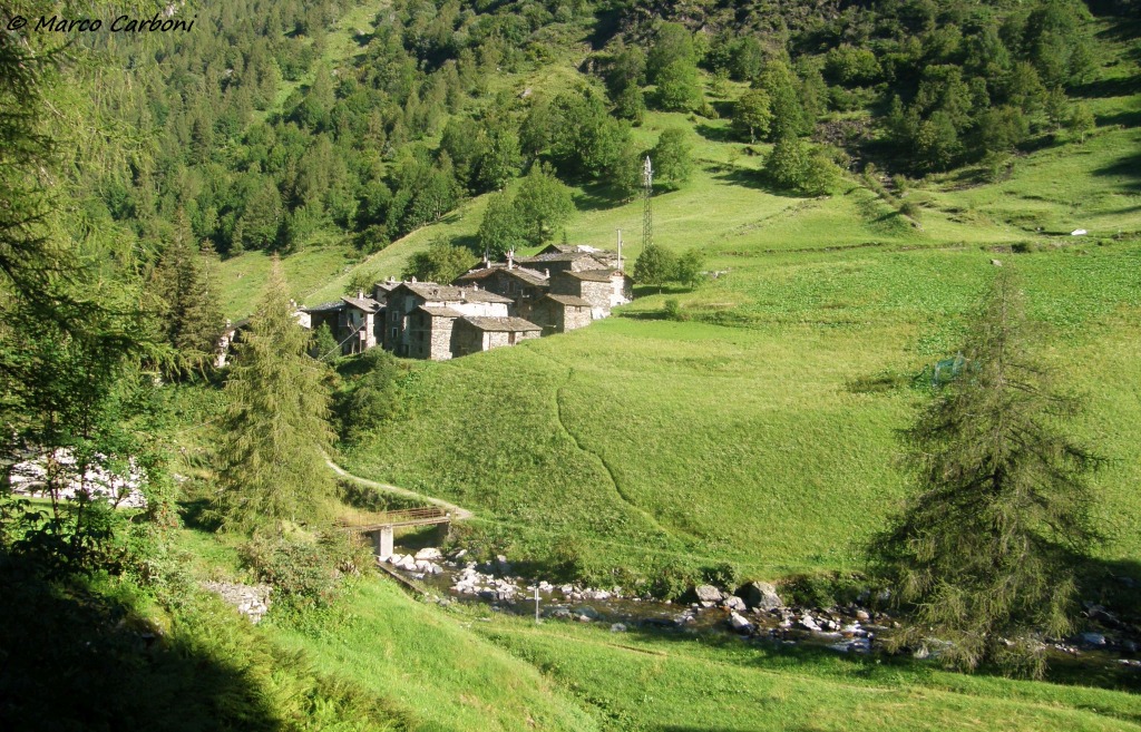 163674-cabianca-1-p8040060.jpg