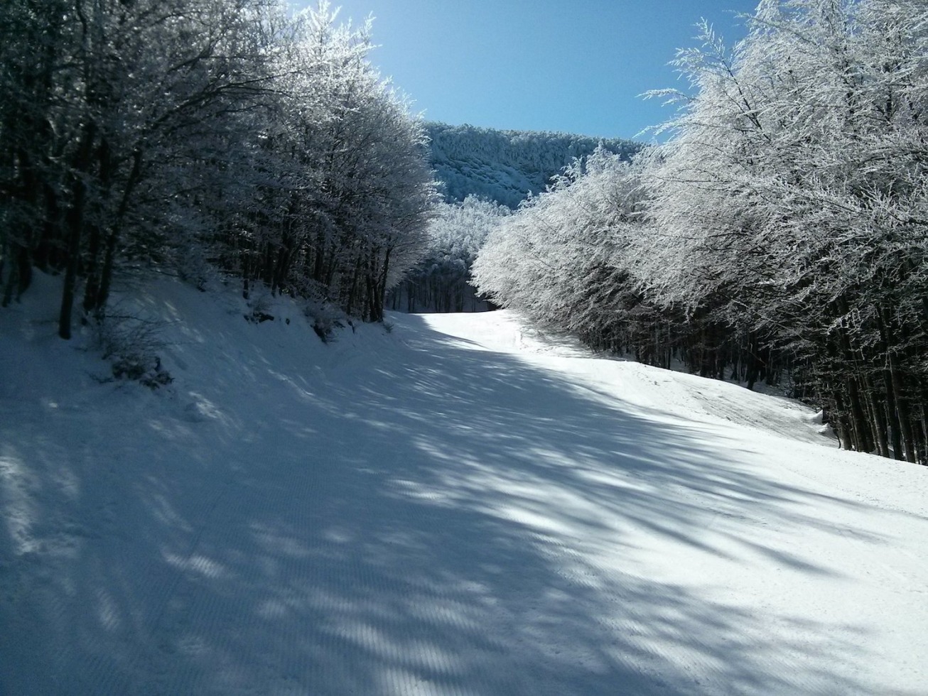 164287-85-skiweg-2.jpg