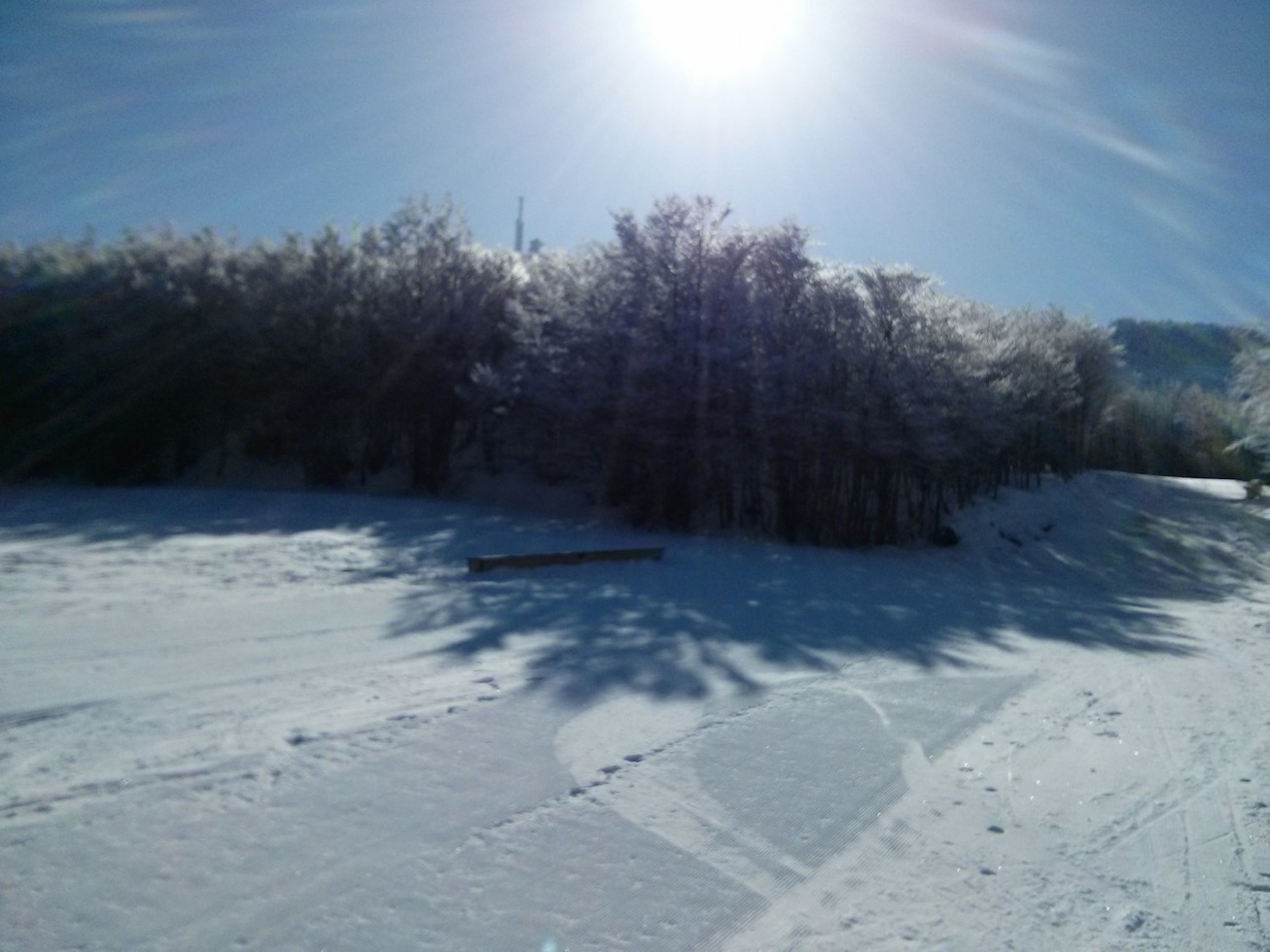 164289-10-park2.jpg