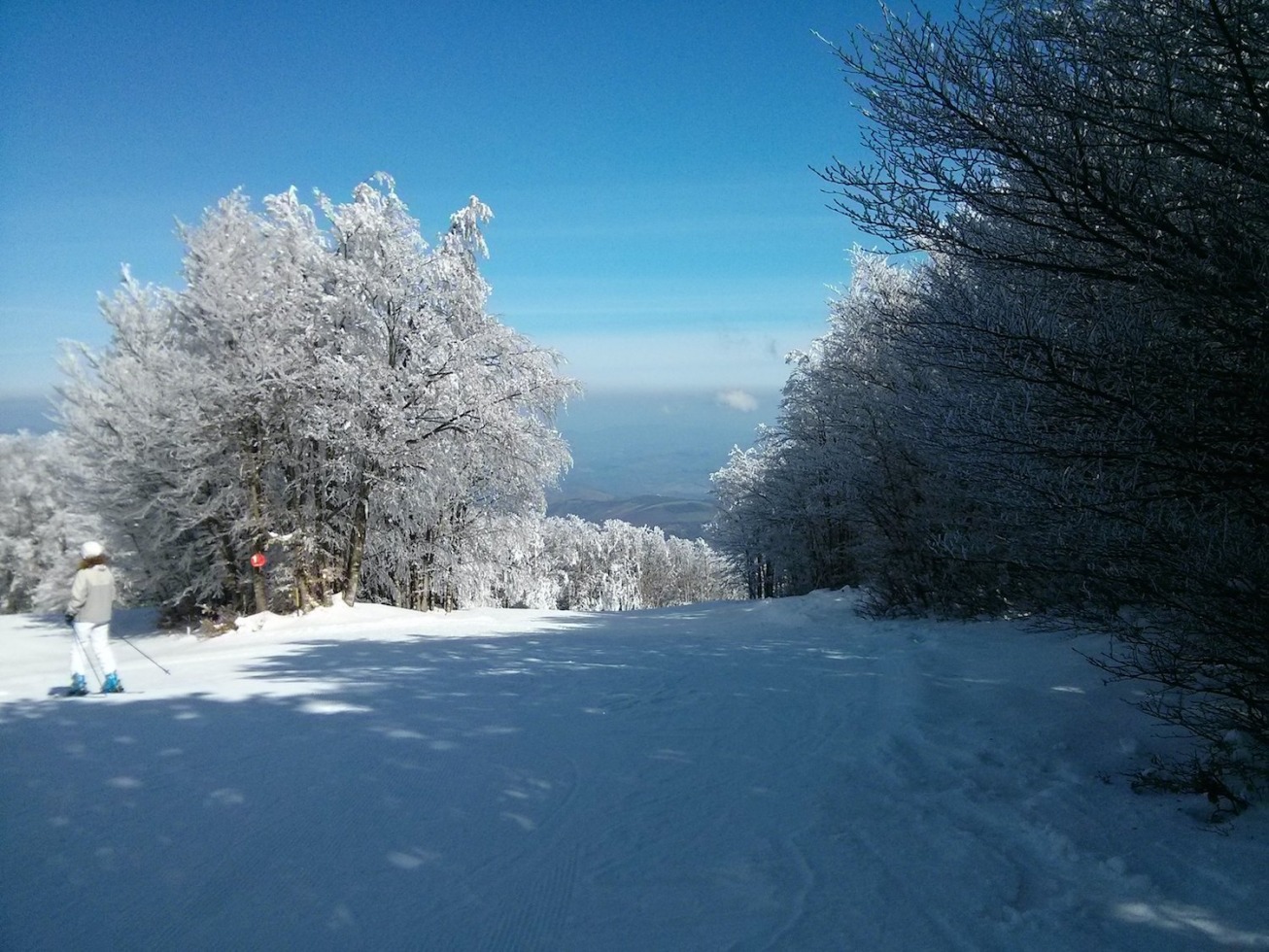 164293-14-incrocio-rossa.jpg