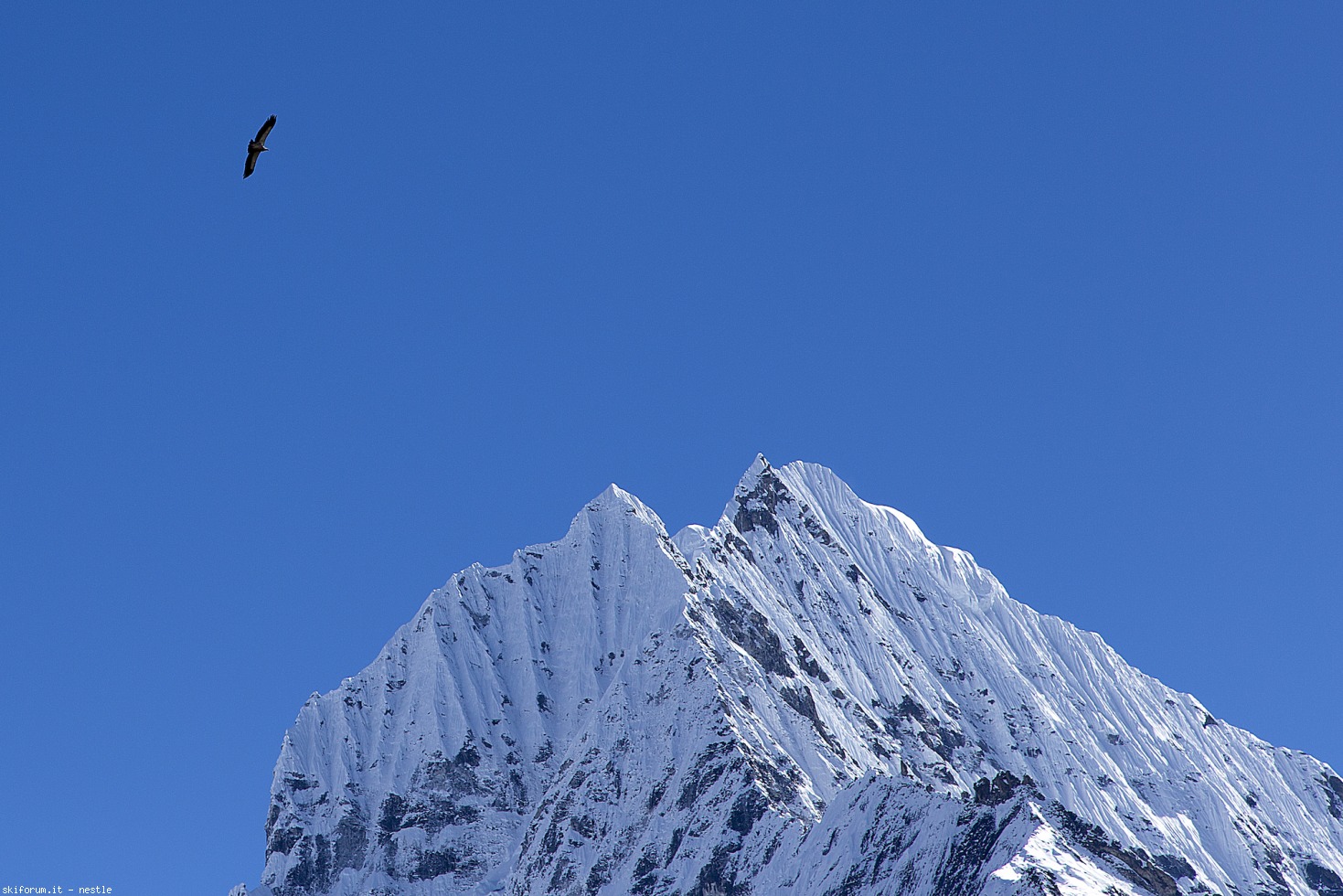 164556-everest-img1404.jpg