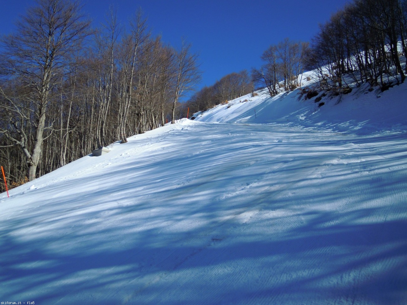 164696-dscn5790.jpg