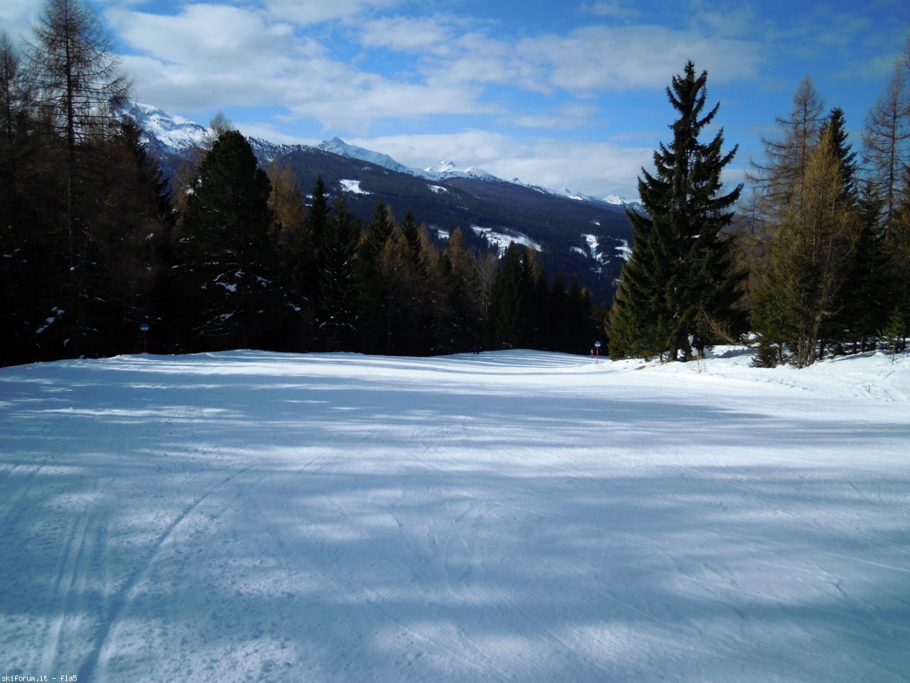 164734-dscn5685.jpg