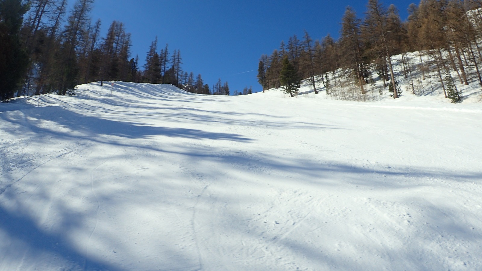 165789-p3260202.jpg