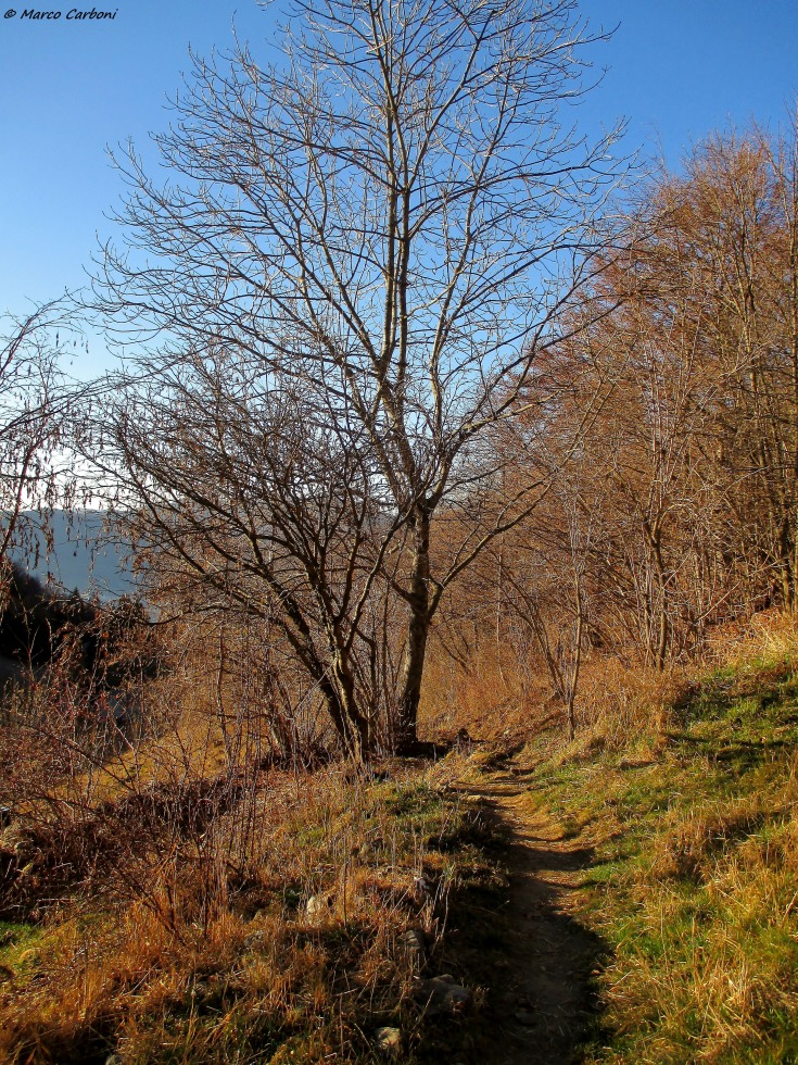 165998-baciamorti-1-img3245.jpg
