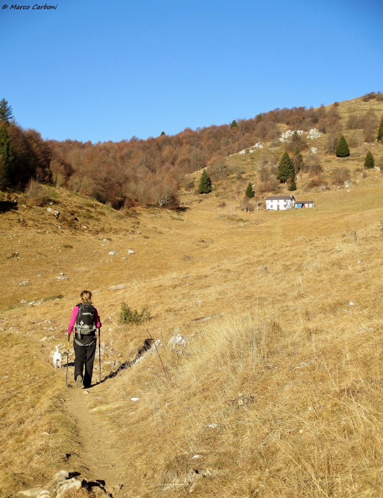 166002-baciamorti-1-img3258.jpg