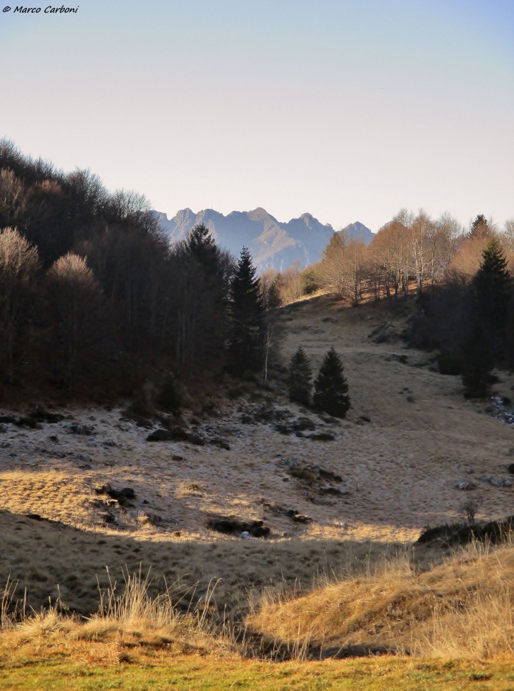 166003-baciamorti-1-img3265.jpg