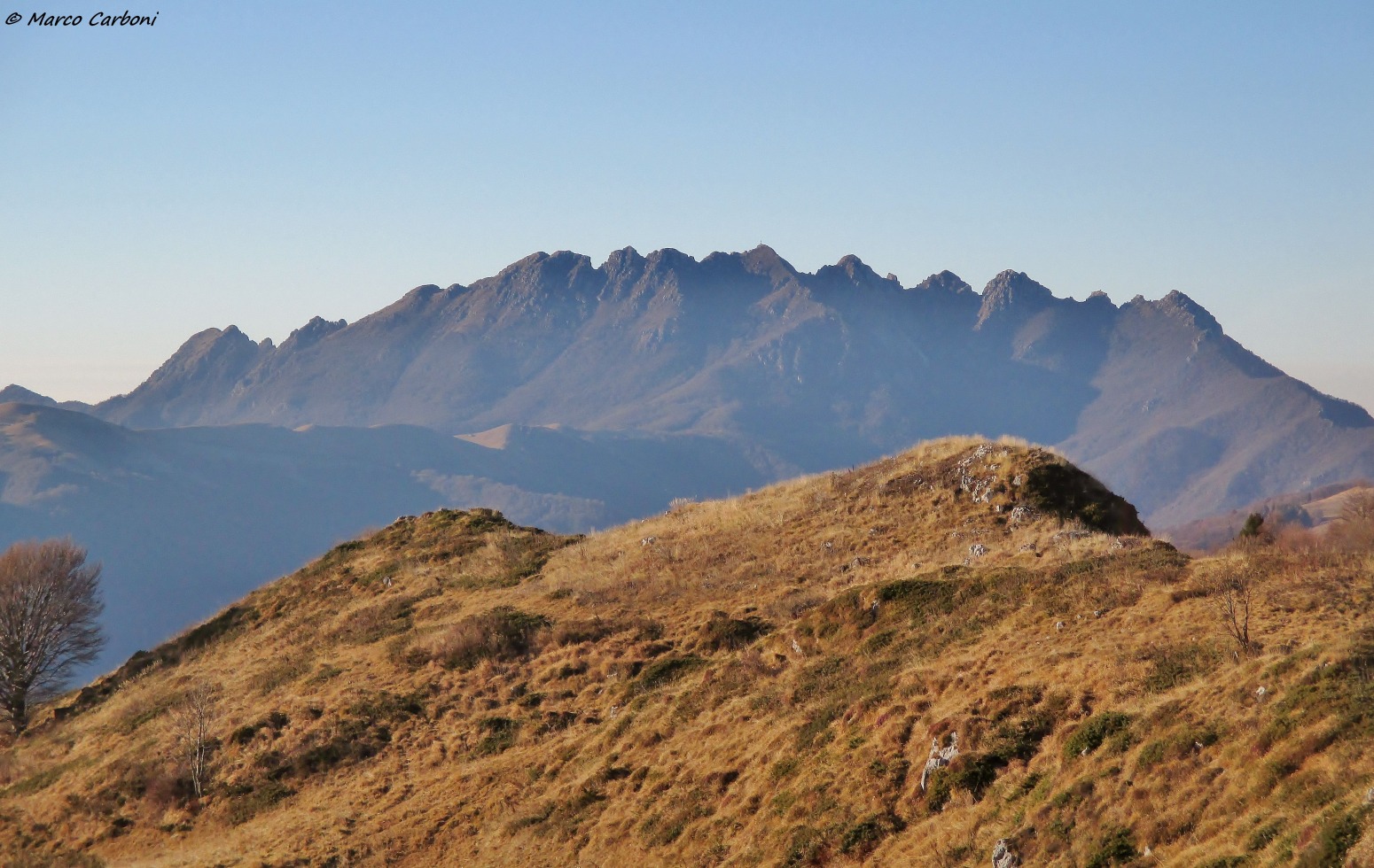 166004-baciamorti-1-img3271.jpg