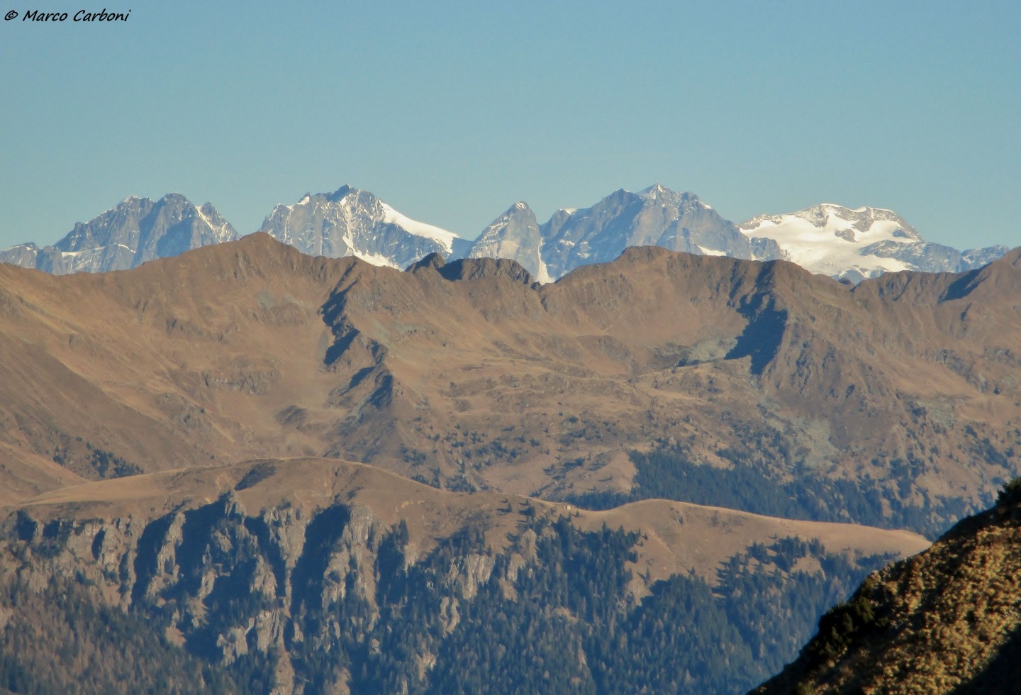 166009-baciamorti-2-img3288.jpg