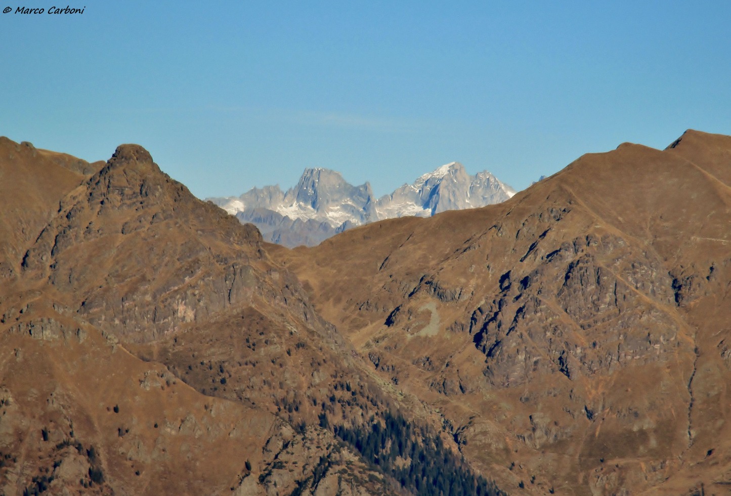 166010-baciamorti-2-img3289.jpg