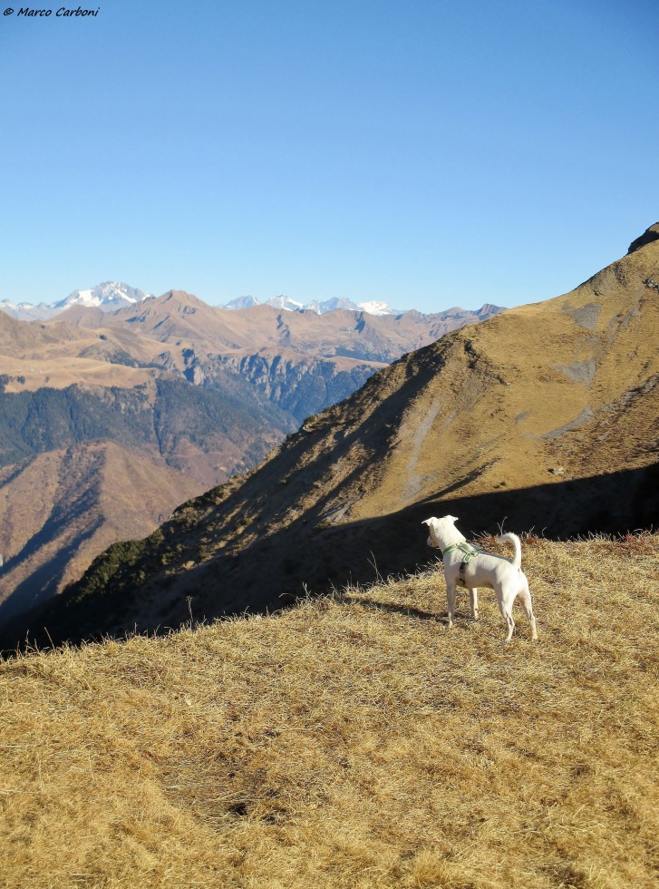 166013-baciamorti-2-img3297.jpg