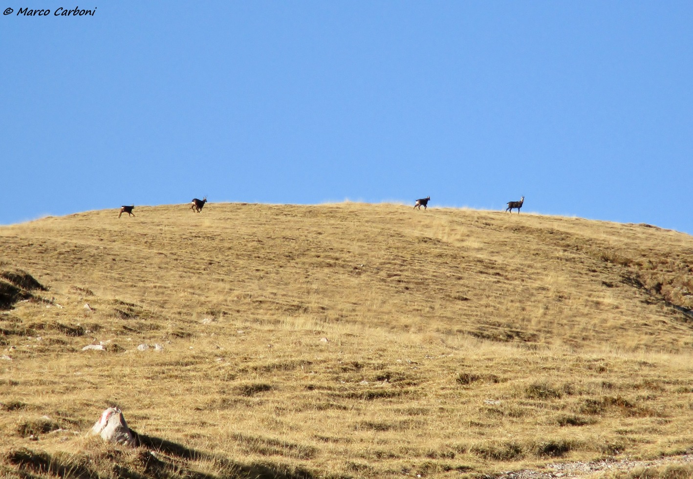 166014-baciamorti-2-img3307.jpg