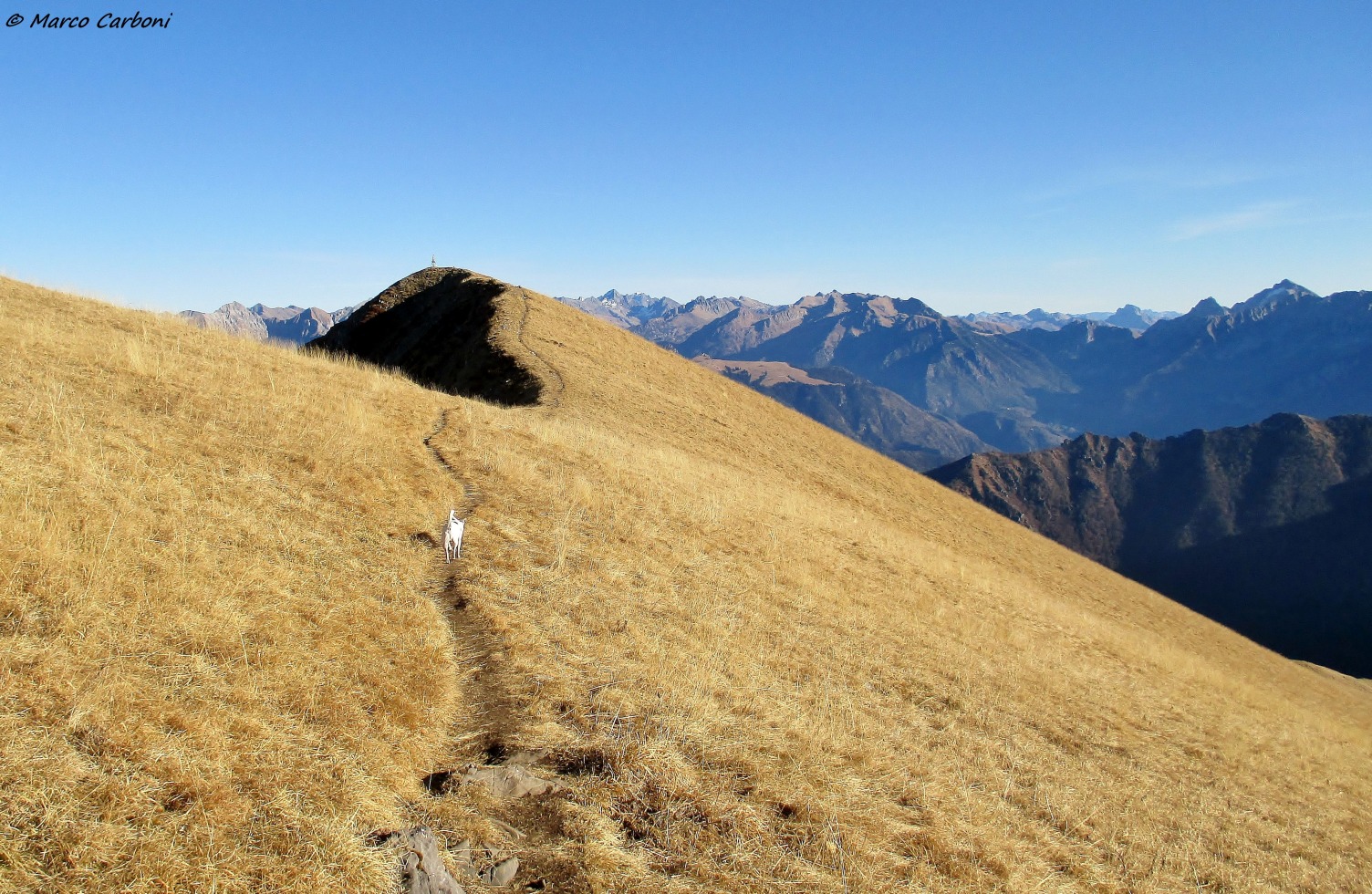 166023-baciamorti-3-img3333.jpg