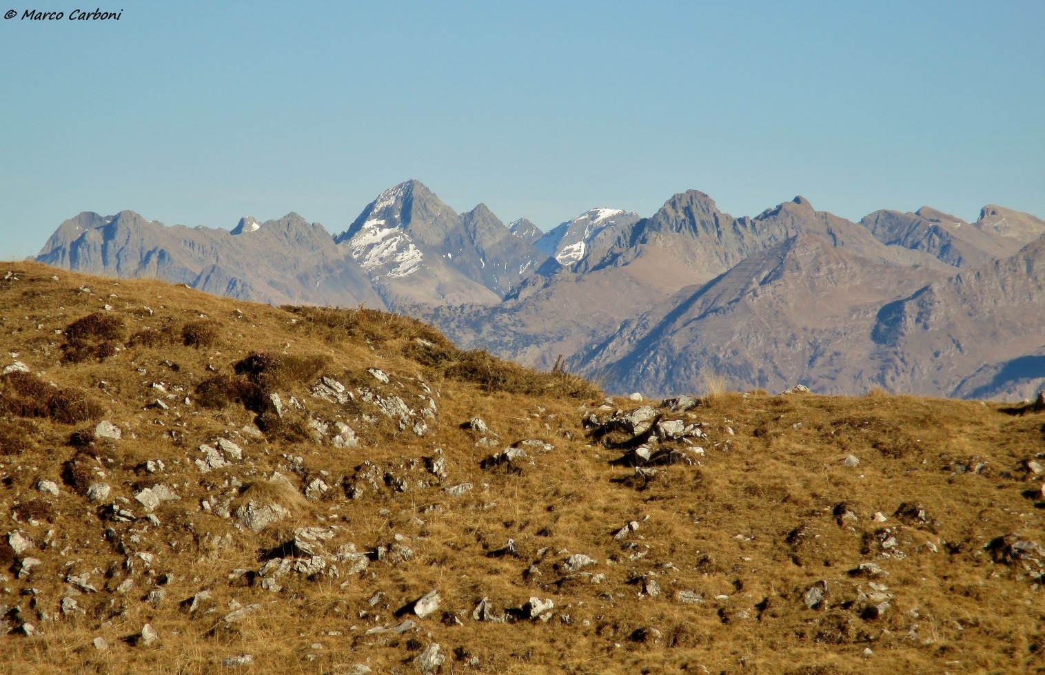166034-baciamorti-4-img3369.jpg