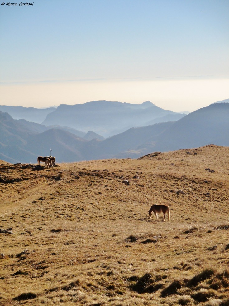 166035-baciamorti-4-img3373.jpg