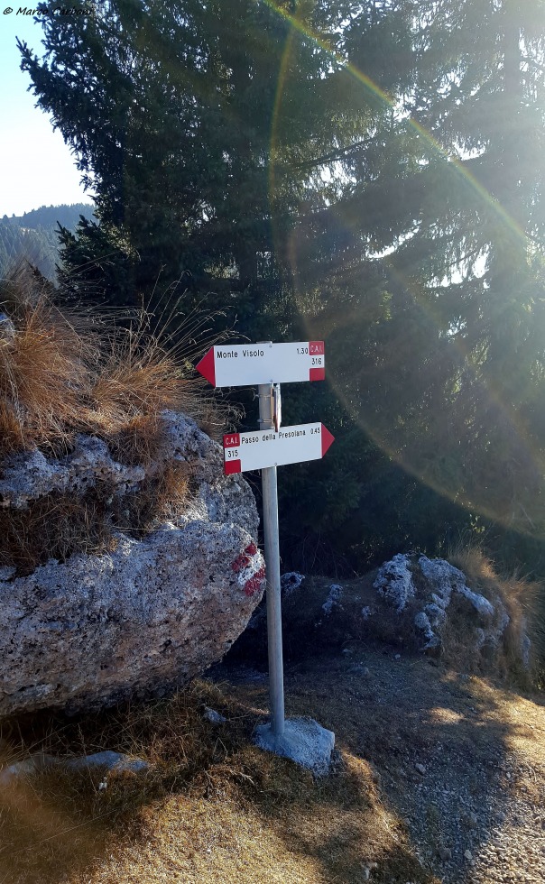 166372-visolo-1-20151230101055.jpg