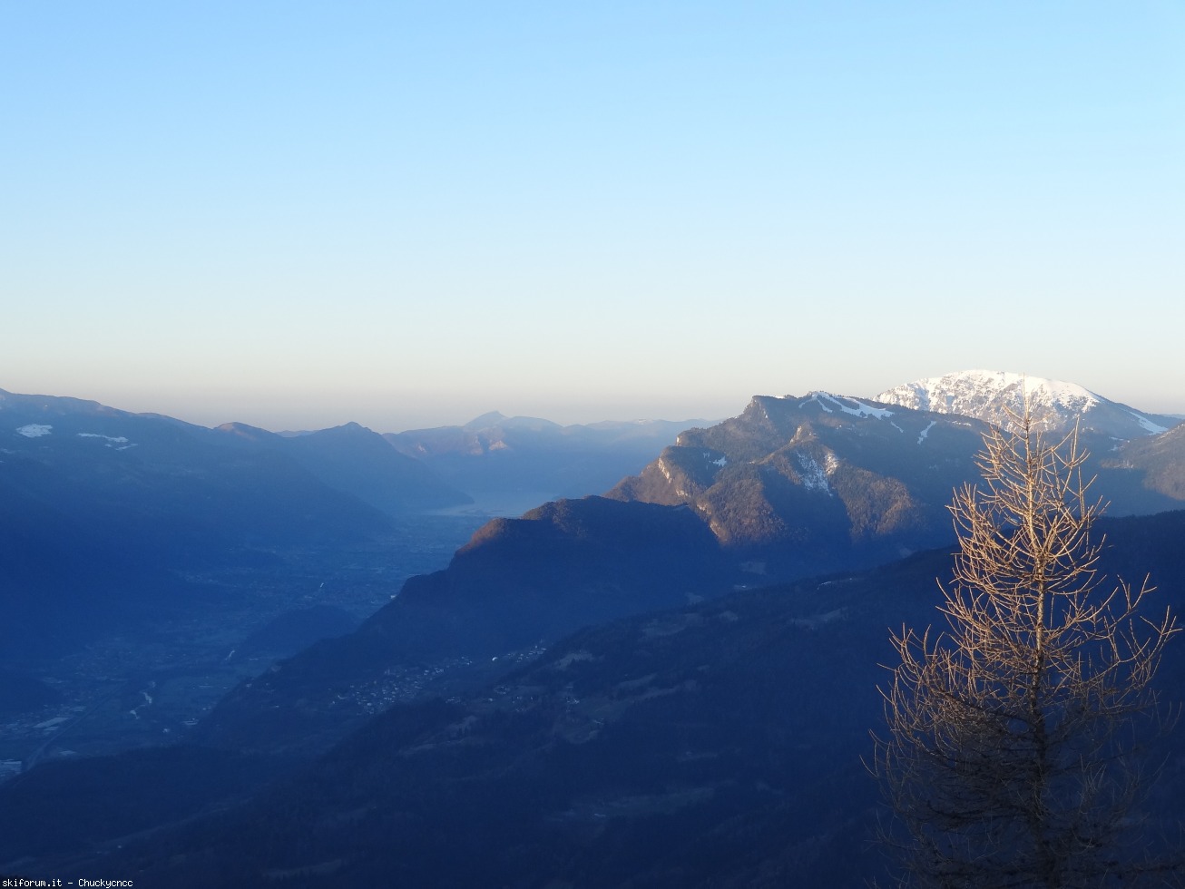166521-vaccio-dsc06307.jpg