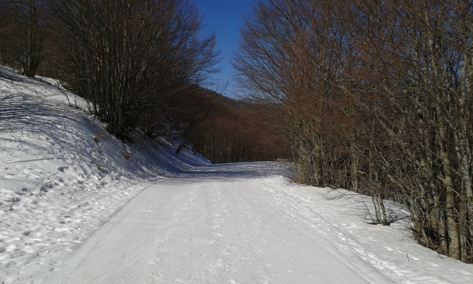 167038-ventasso-20160326100110.jpg