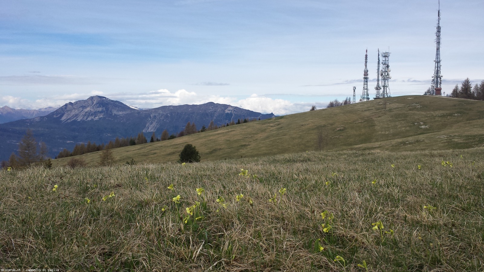 167603-finonchio-20160424095538.jpg
