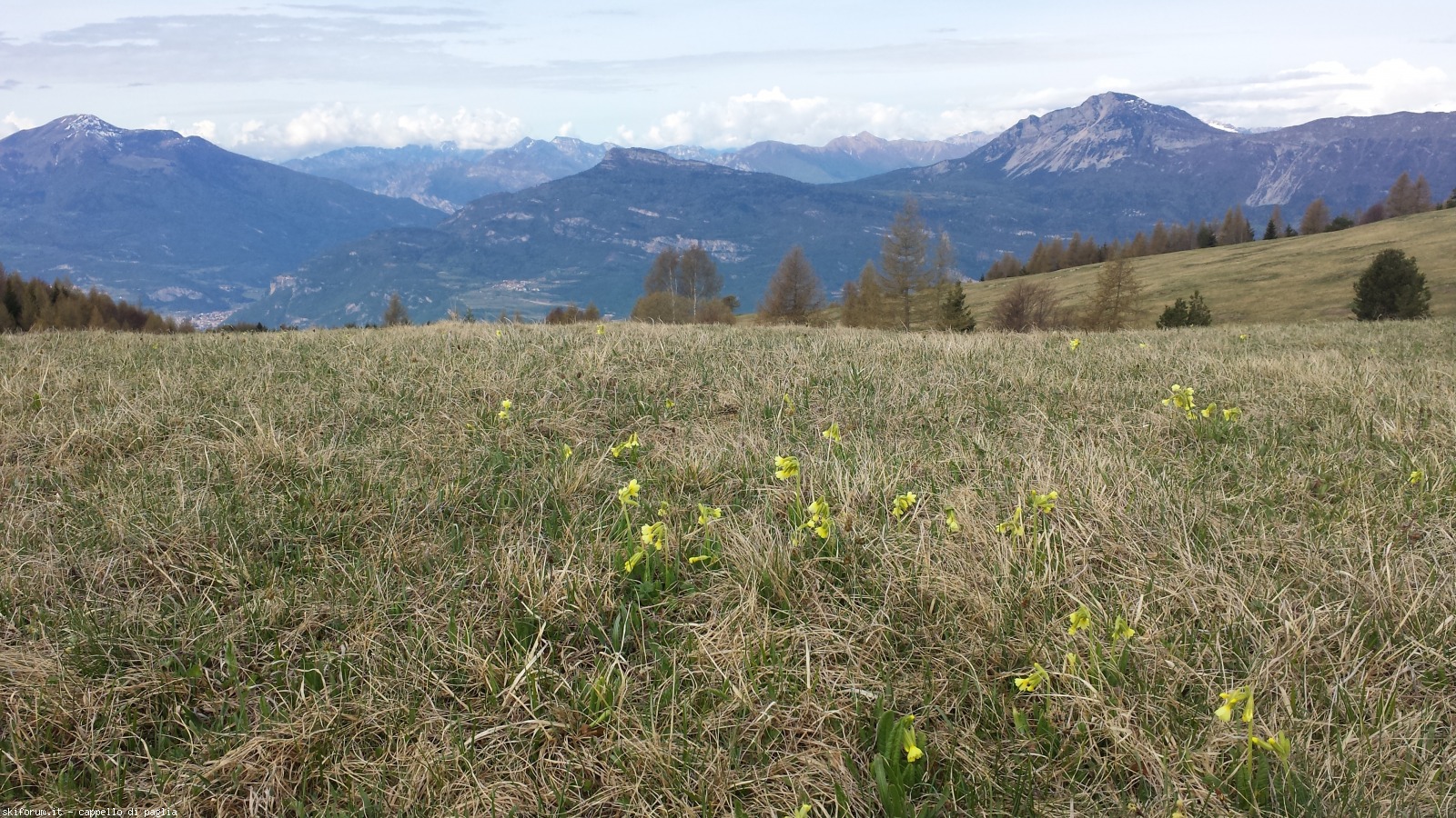 167604-finonchio-20160424095546.jpg