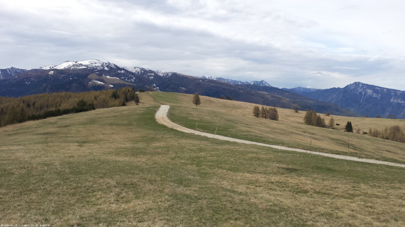167605-finonchio-20160424100010.jpg