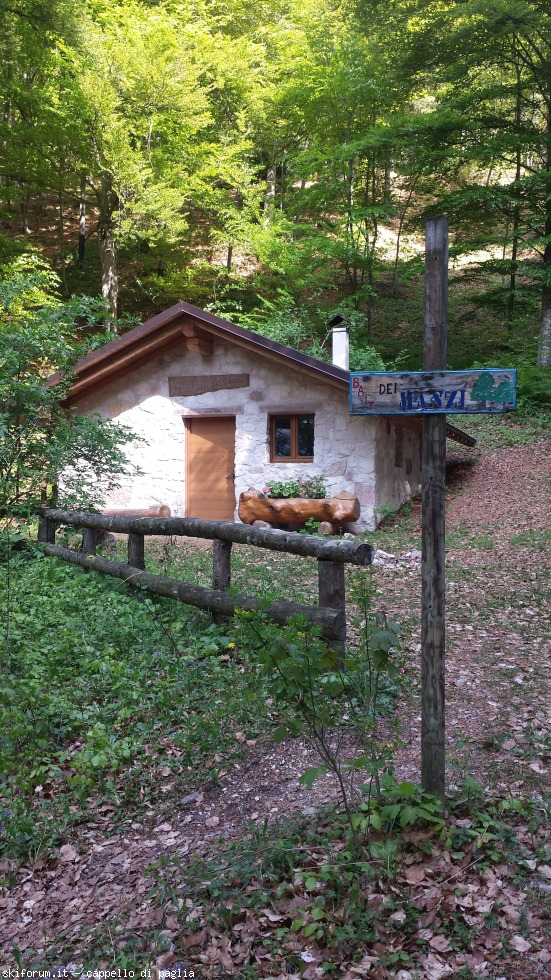 168137-mezzocorona-20160429161600.jpg