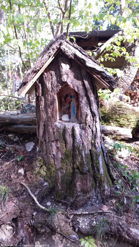 168162-mezzocorona-20160429164853.jpg