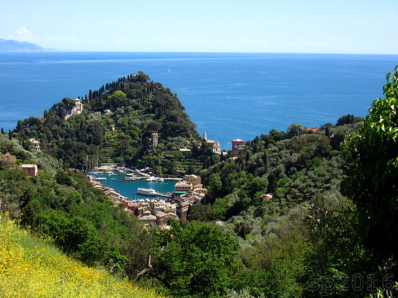 168258-portofino-img4290.jpg