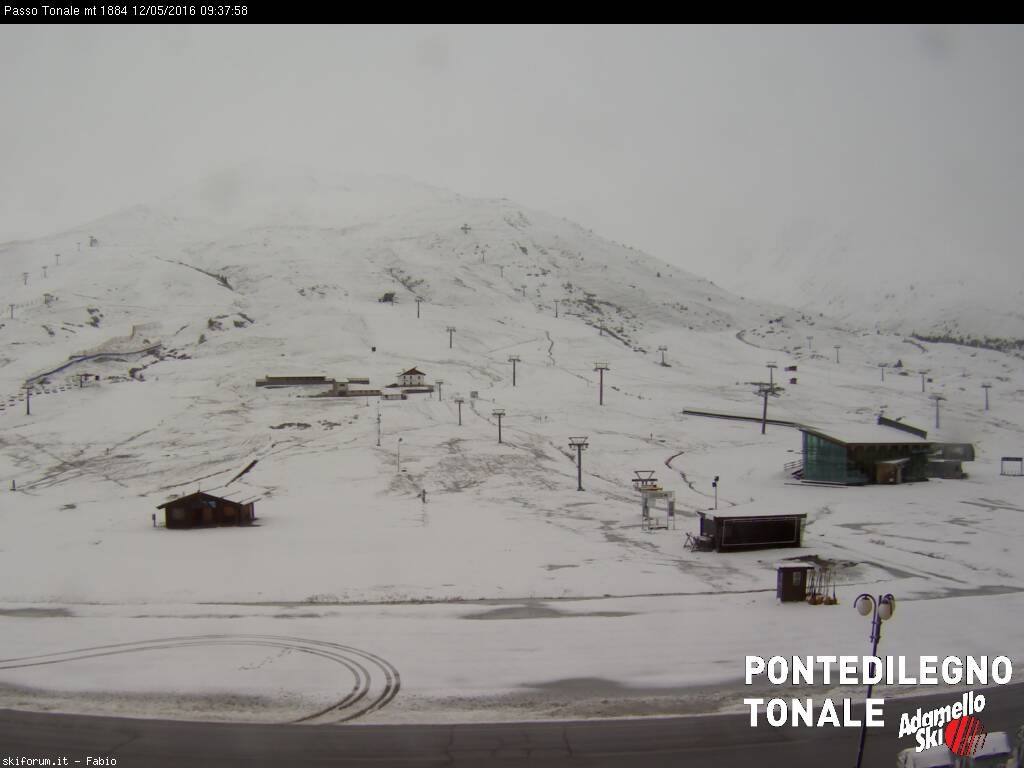 168610-tonale.jpg