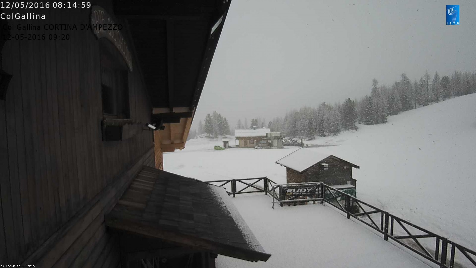 168613-colgallina.jpg