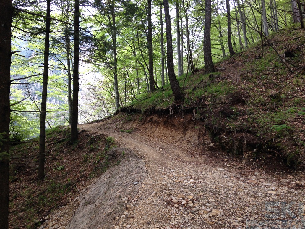 169027-ferrata-viali-al-gramolon-monte-gramolon-01.jpg