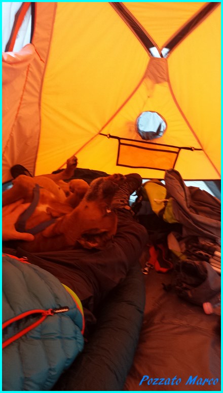 169037-20160522064433.jpg