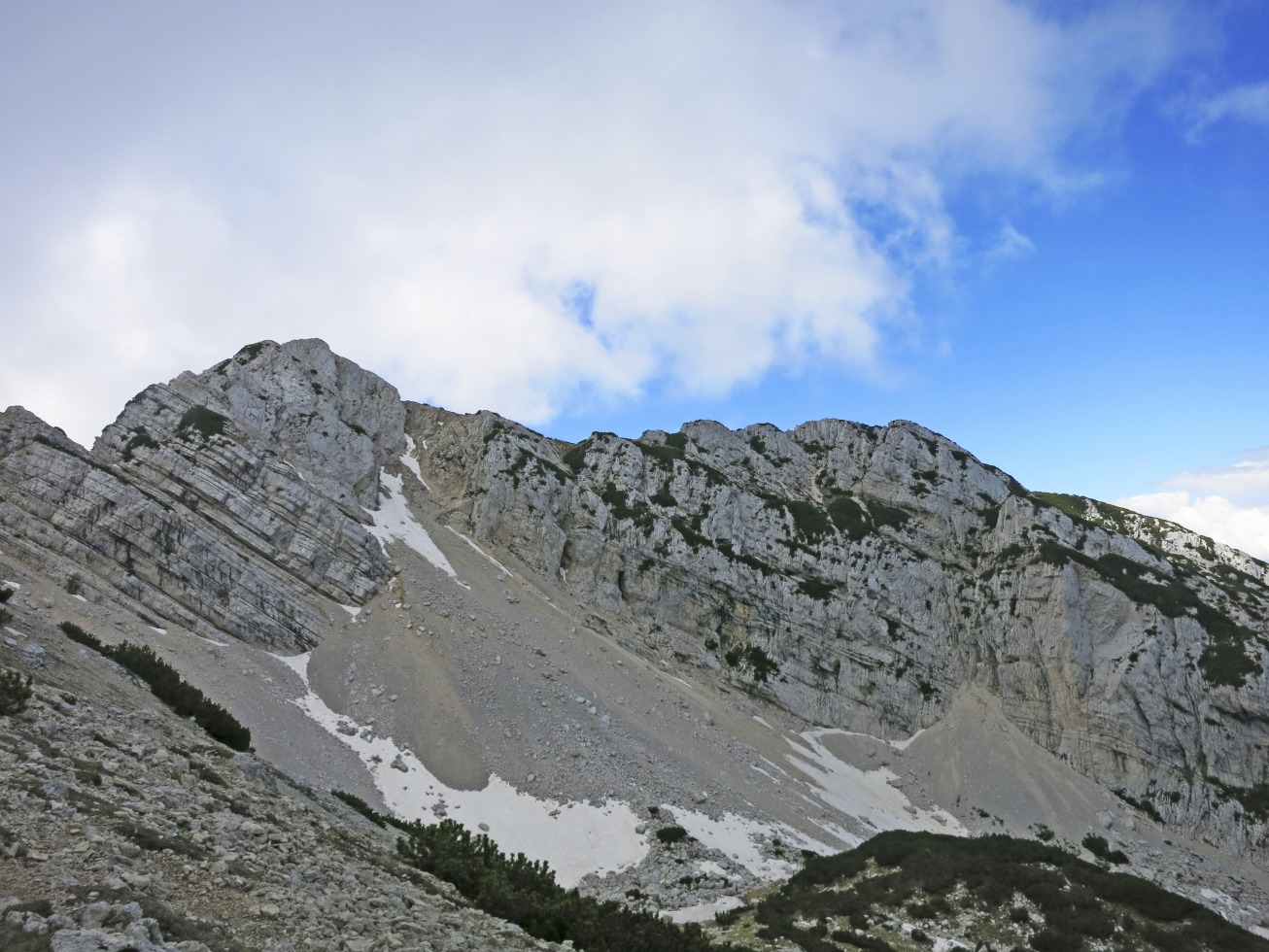169425-img8772.jpg