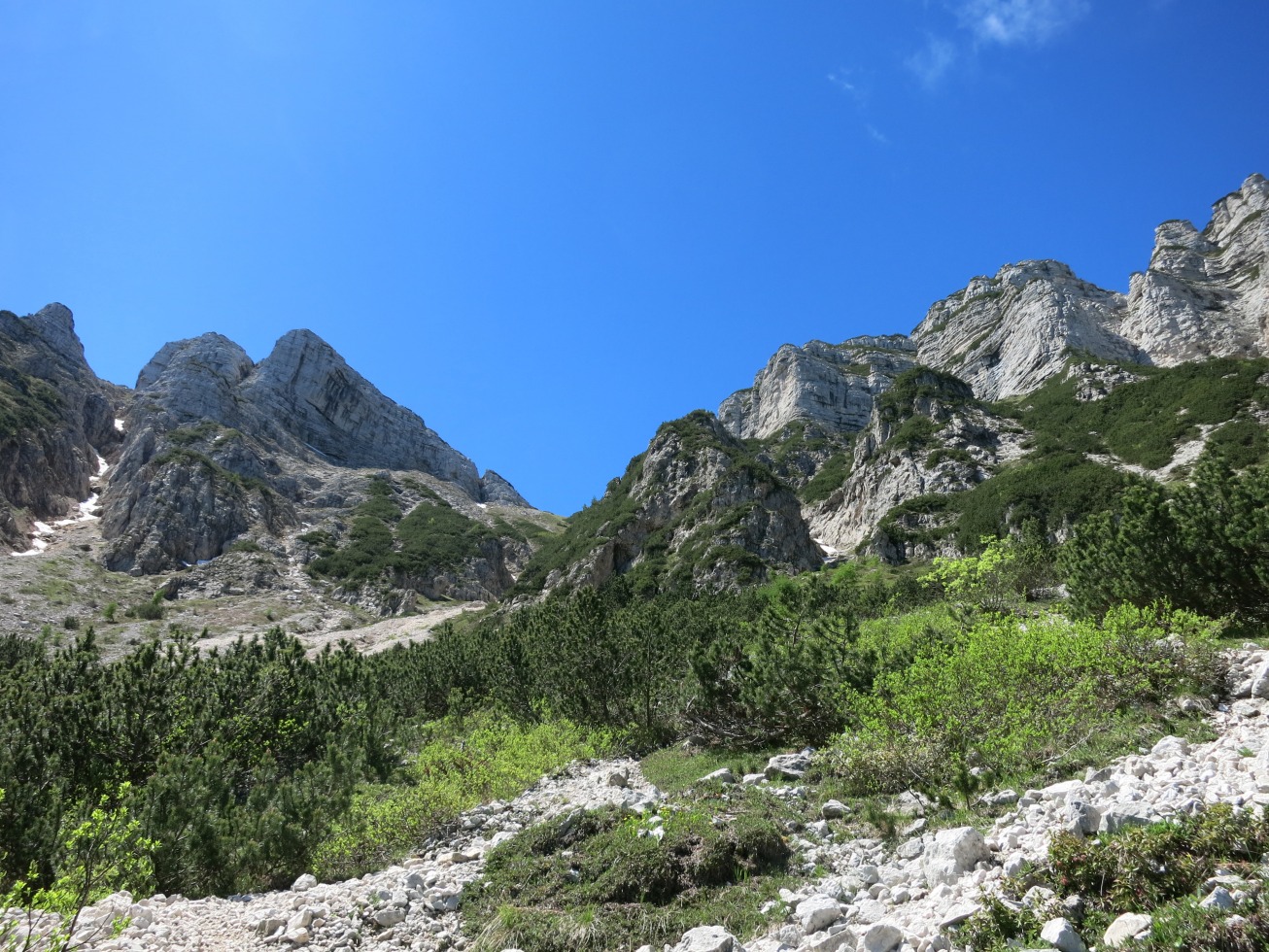 169450-filadonna-img9104.jpg
