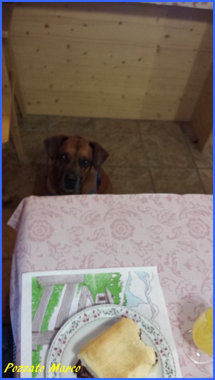 169513-20160618193604.jpg