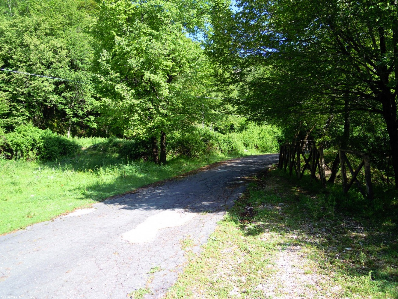 169767-dscn5894.jpg