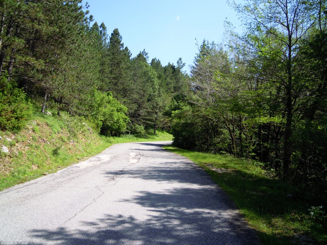 169768-dscn5897.jpg