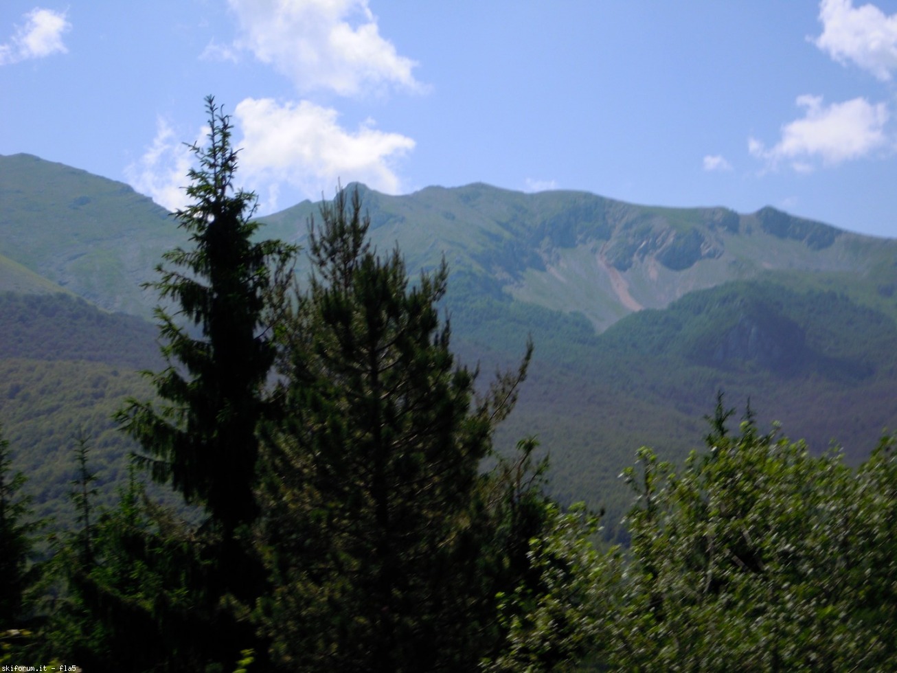 169770-dscn5902.jpg