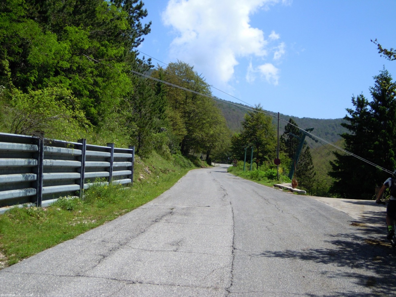169771-dscn5903.jpg