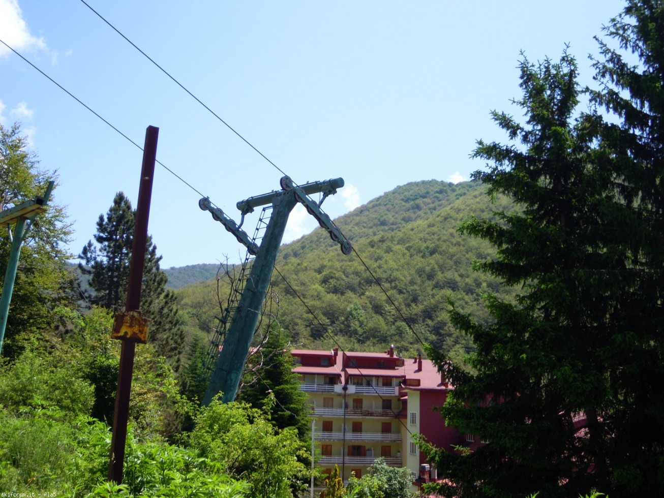 169772-dscn5904.jpg