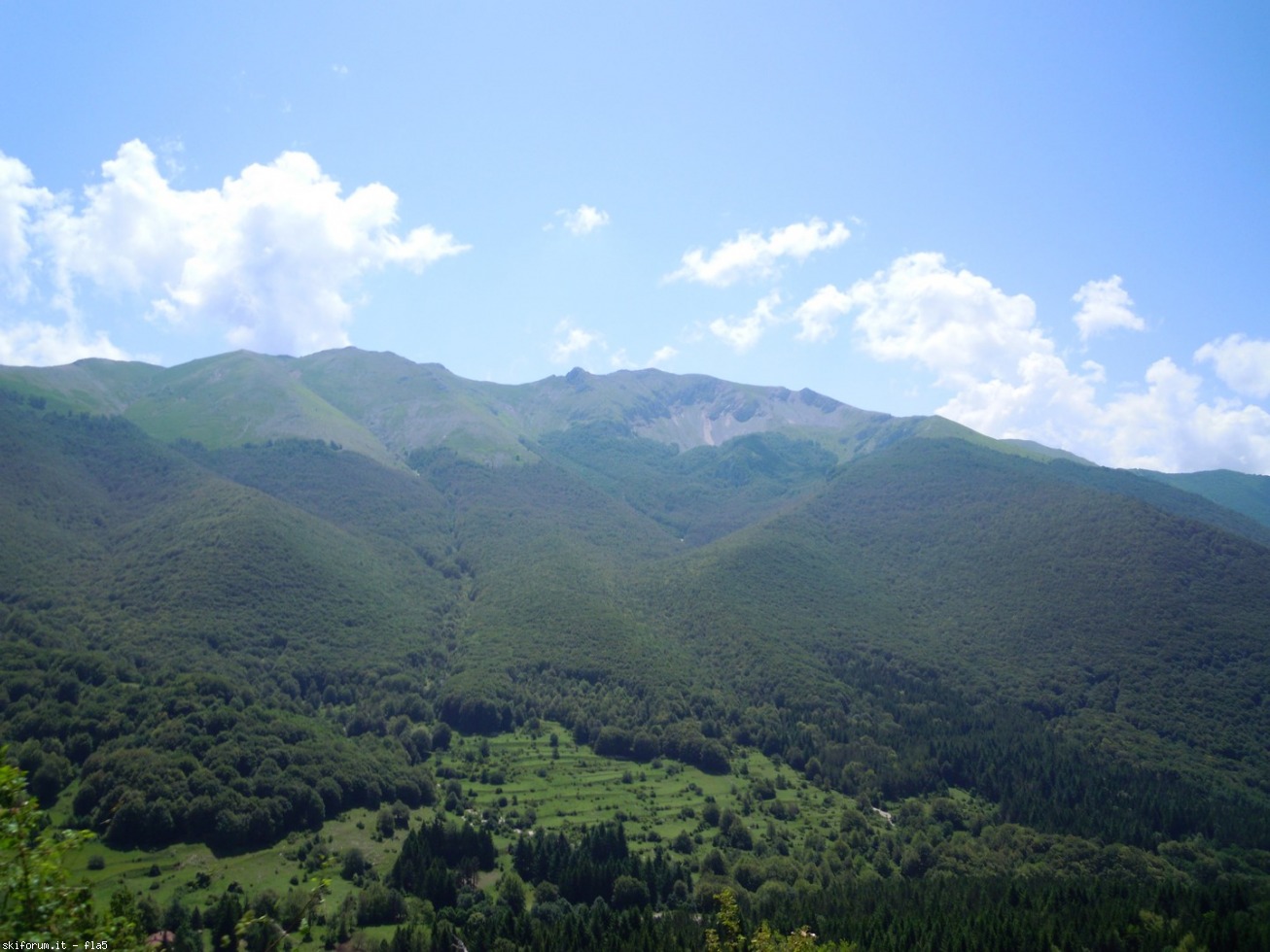 169774-dscn5910.jpg