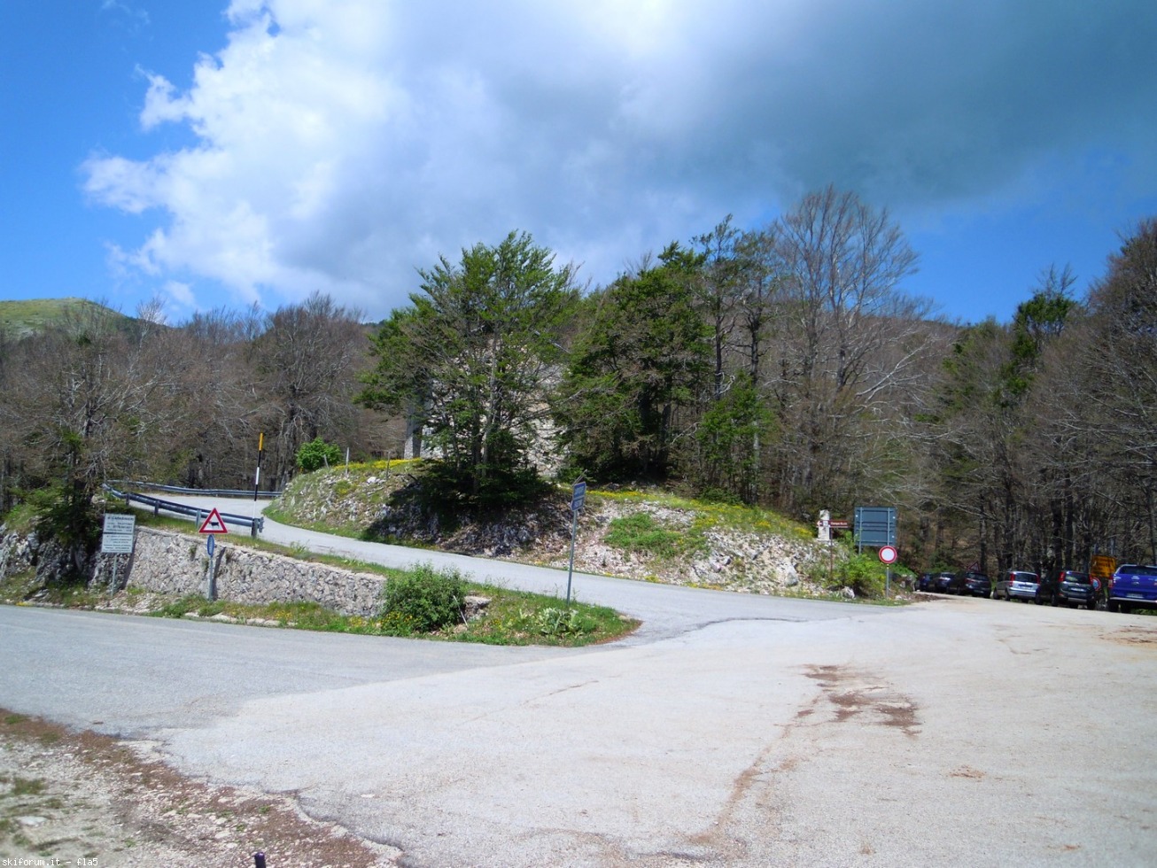 169777-dscn5913.jpg