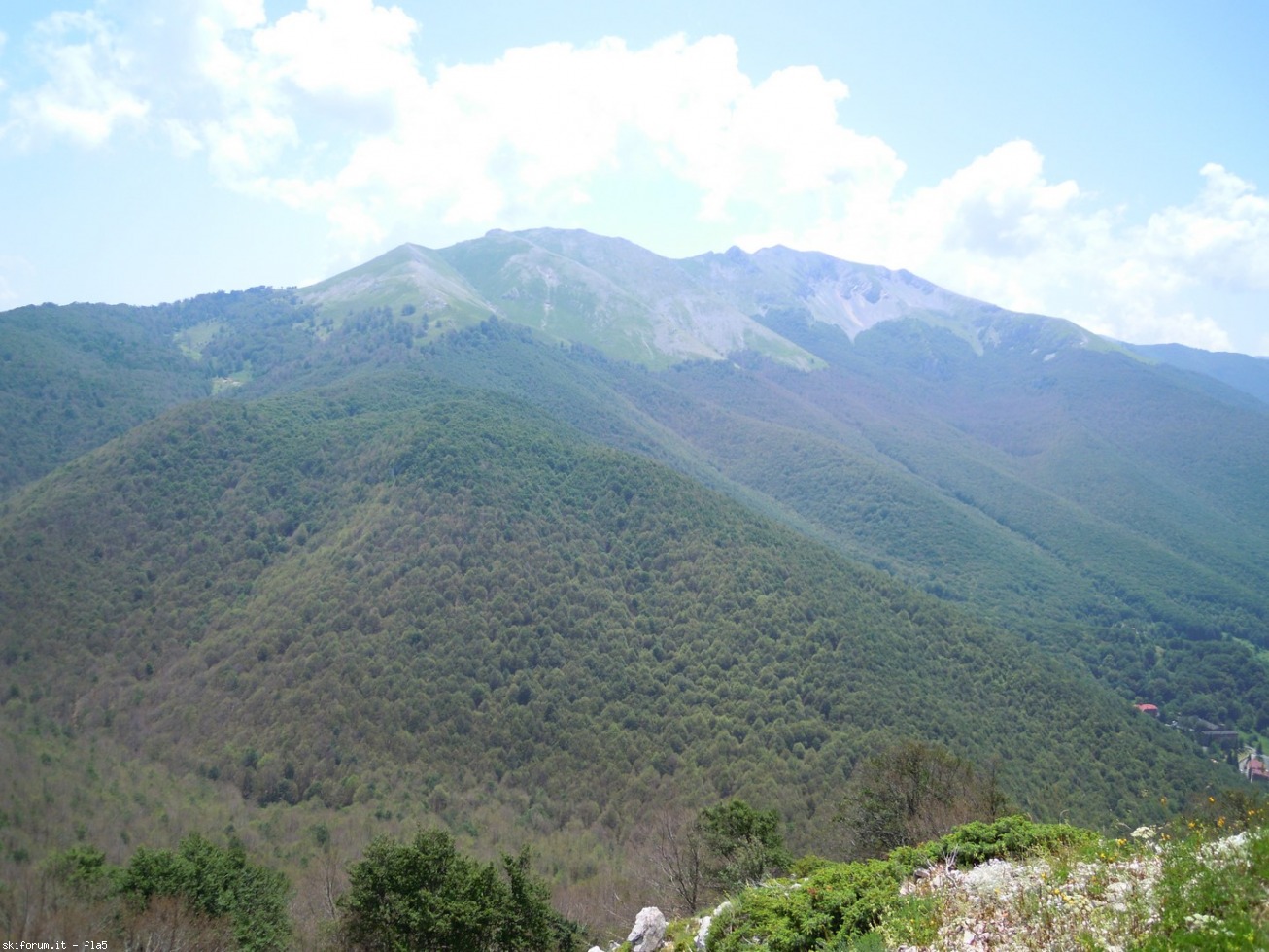 169779-dscn5918.jpg