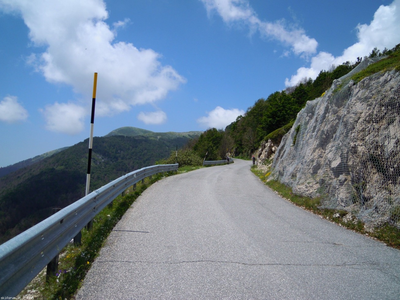 169780-dscn5920.jpg