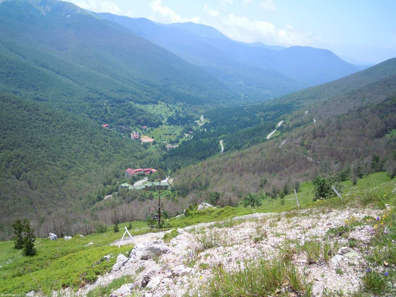 169781-dscn5921.jpg