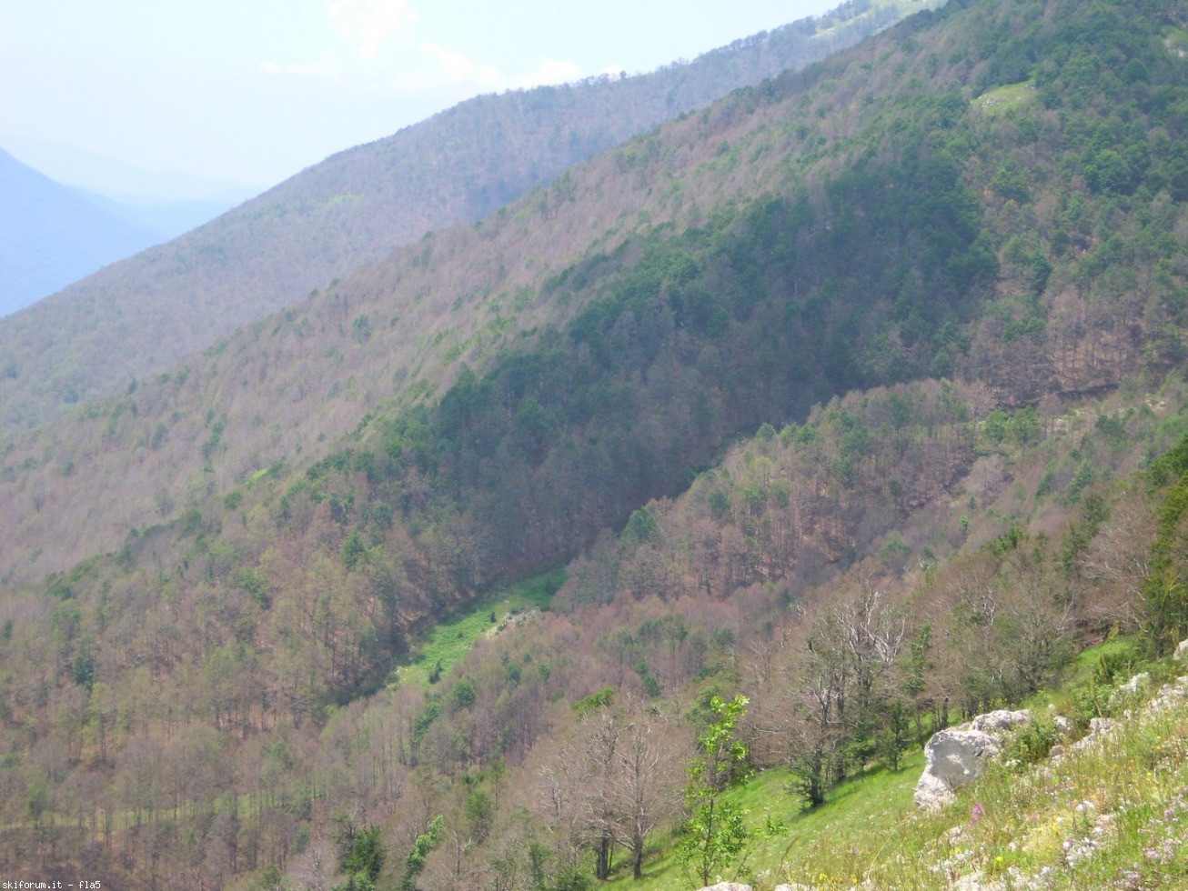 169782-dscn5922.jpg