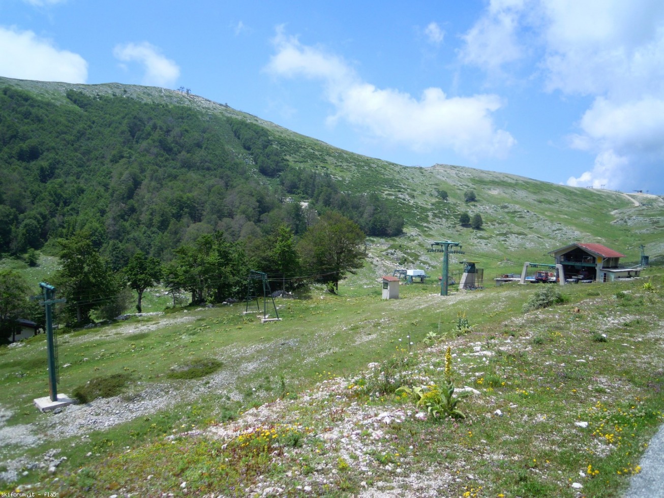 169783-dscn5923.jpg