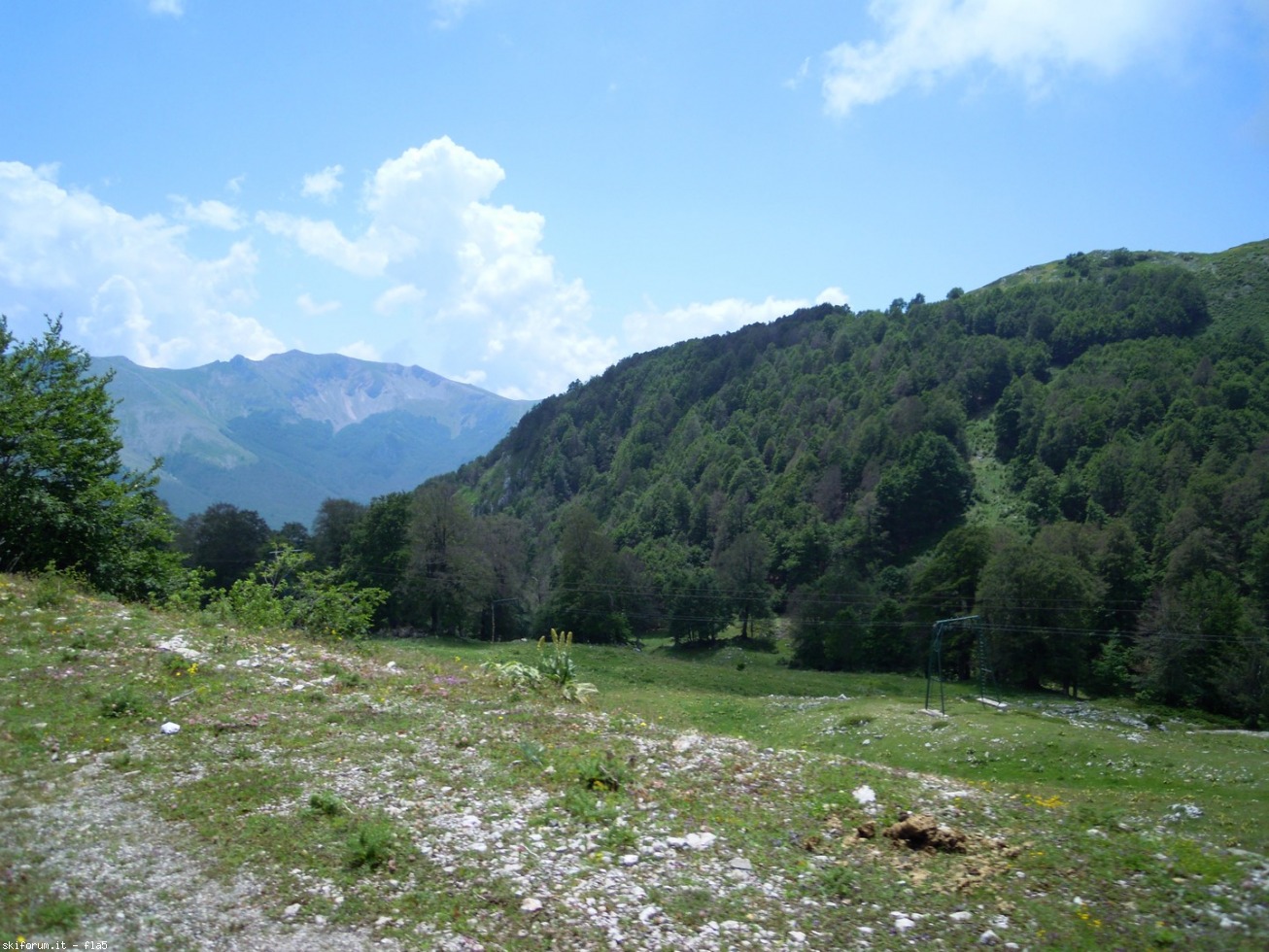 169784-dscn5925.jpg