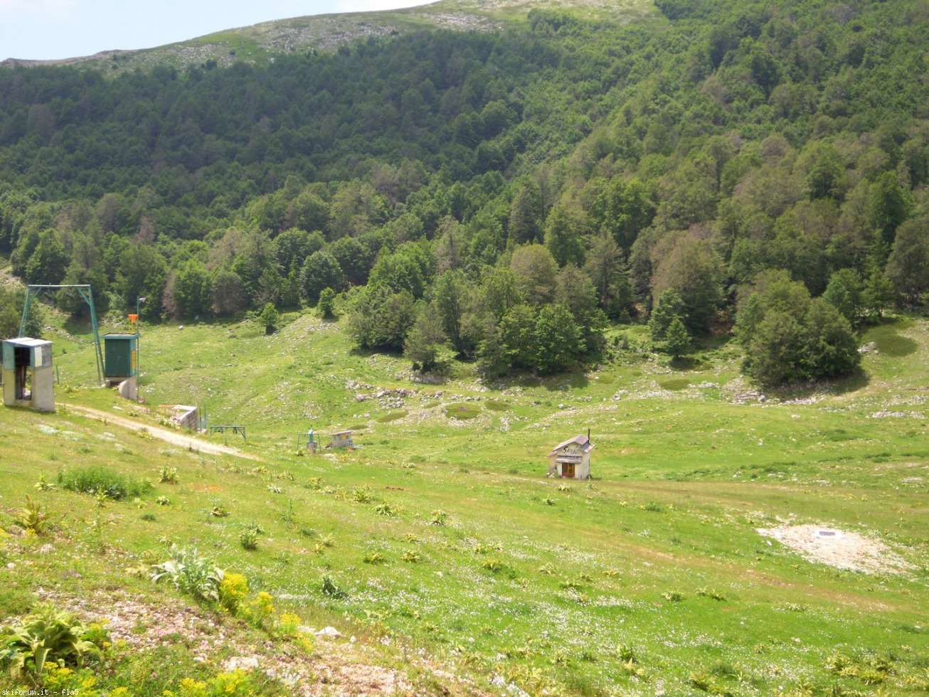 169790-dscn5931.jpg